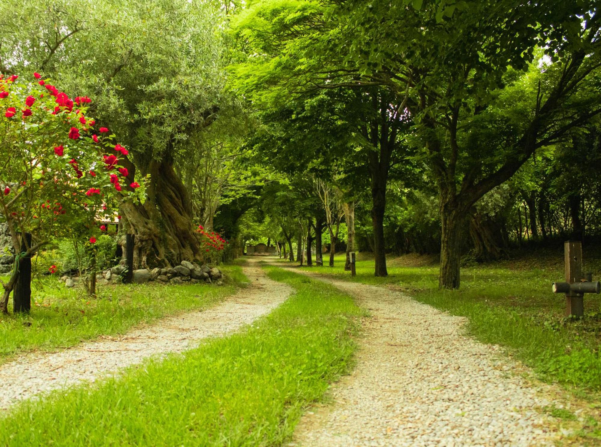 Agriturismo La Locanda Del Parco مورانو كالابرو المظهر الخارجي الصورة
