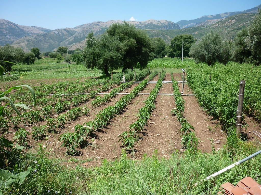 Agriturismo La Locanda Del Parco مورانو كالابرو المظهر الخارجي الصورة