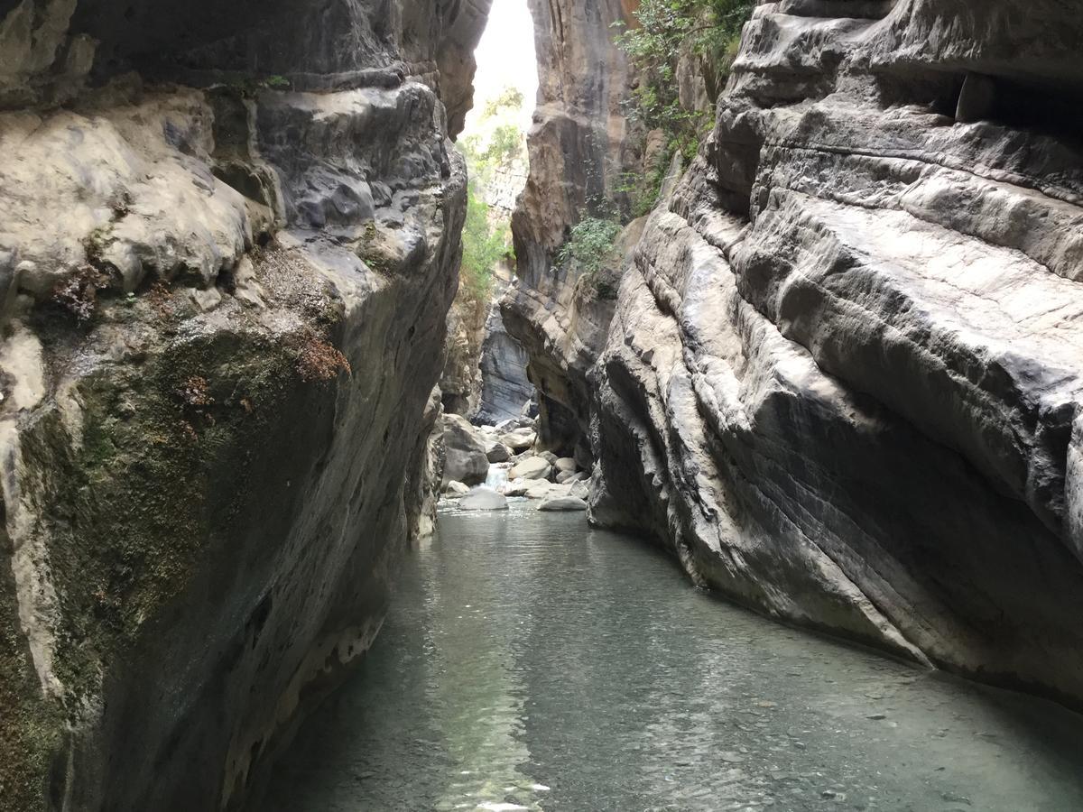 Agriturismo La Locanda Del Parco مورانو كالابرو المظهر الخارجي الصورة